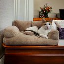 gid://shopify/MediaImage/33283827171574